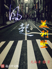 美利坚资本贵族