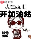 我在西北开加油站爸爸无敌
