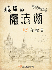 城里的魔法师免费