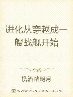 穿越进化系统