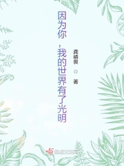 我的世界光明之旅