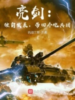 亮剑:独自发展