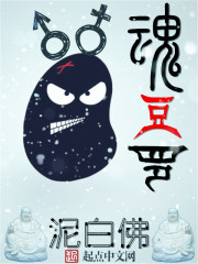 魂宠百度百科
