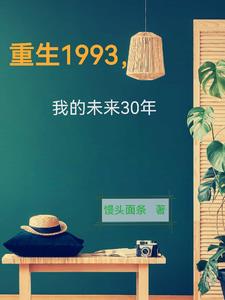 重生1993创业的小说